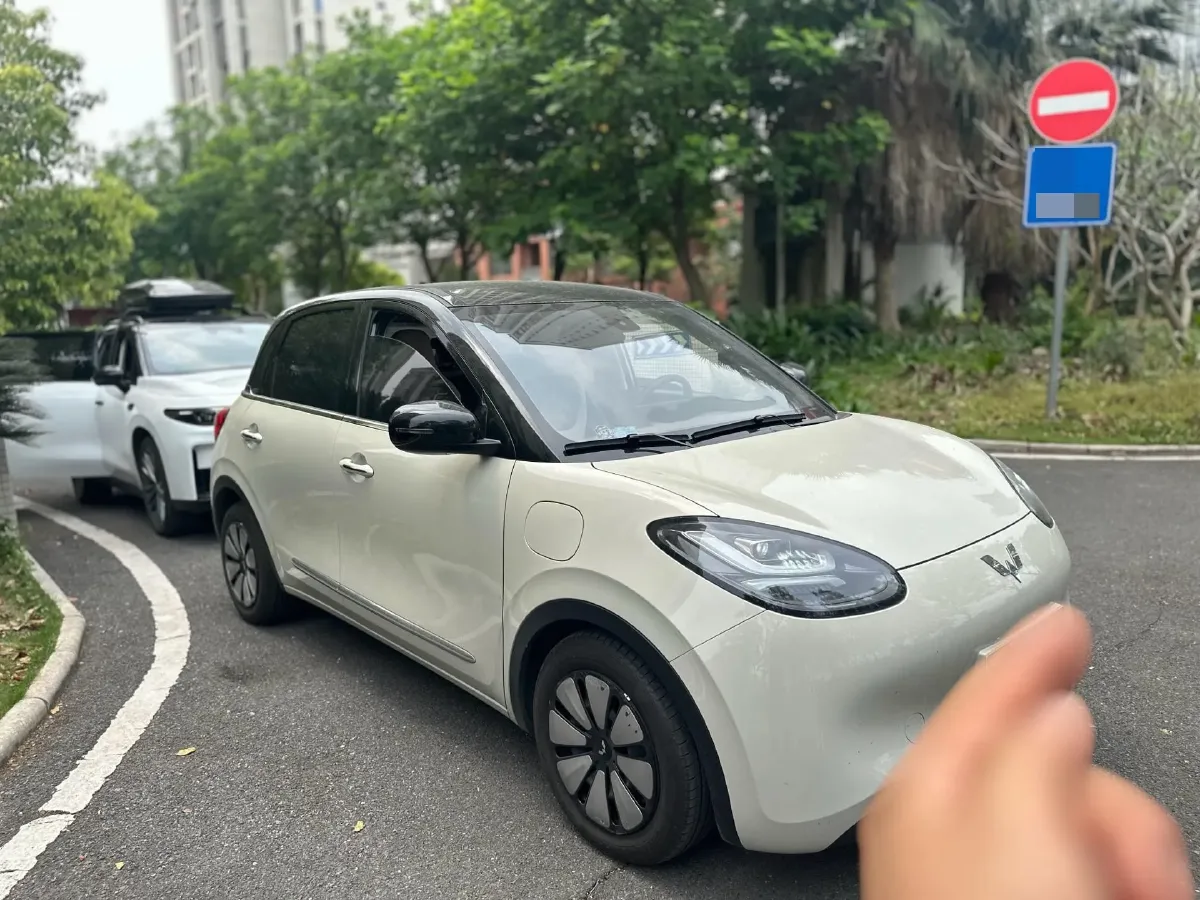 2023 WuLing BinGuo BEV 31.9KWH,autocango,china used car exporter,china ev exporter,chinese used car exporter,chinese used ev exporter