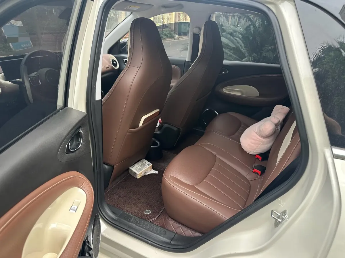 2023 WuLing BinGuo BEV 31.9KWH,autocango,china used car exporter,china ev exporter,chinese used car exporter,chinese used ev exporter