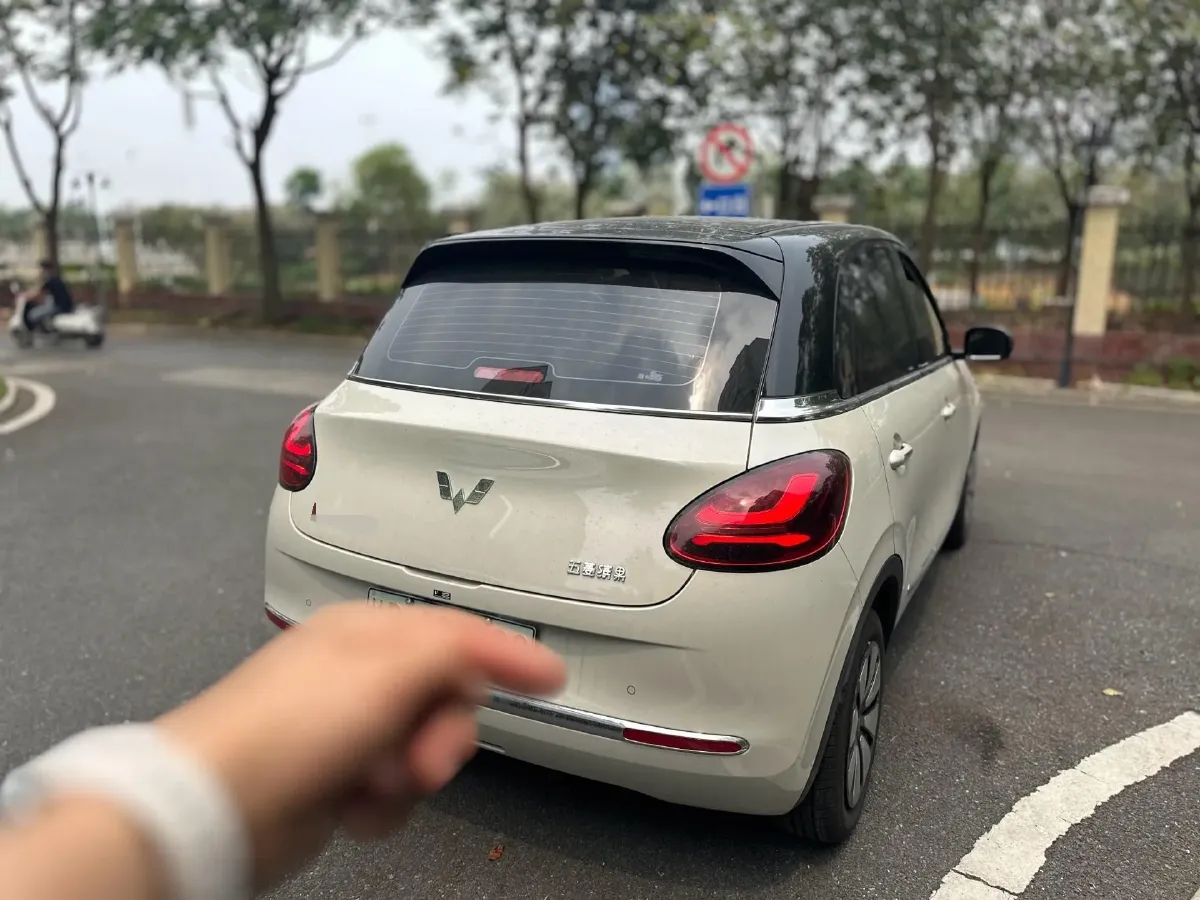 2023 WuLing BinGuo BEV 31.9KWH,autocango,china used car exporter,china ev exporter,chinese used car exporter,chinese used ev exporter