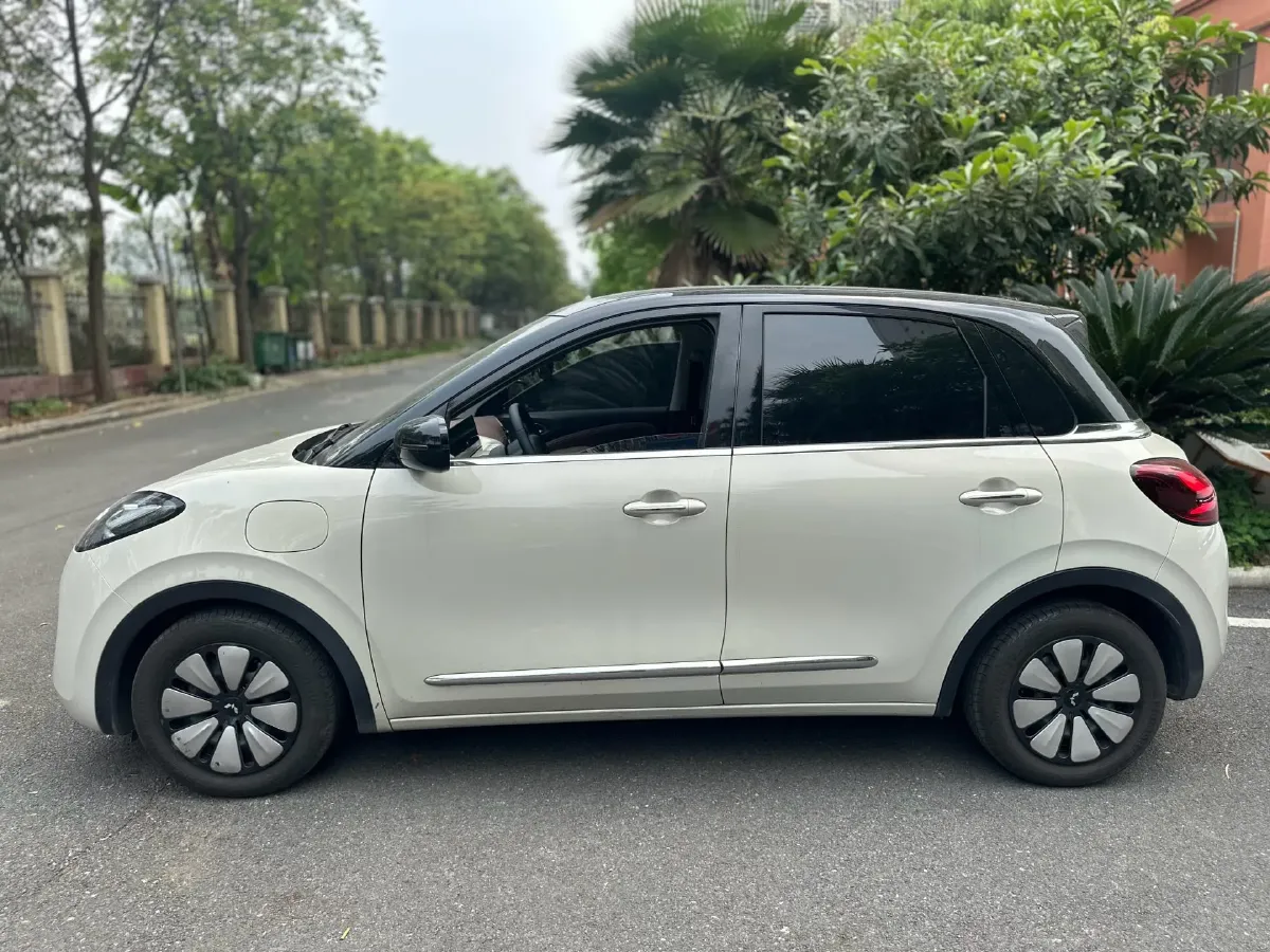 2023 WuLing BinGuo BEV 31.9KWH,autocango,china used car exporter,china ev exporter,chinese used car exporter,chinese used ev exporter