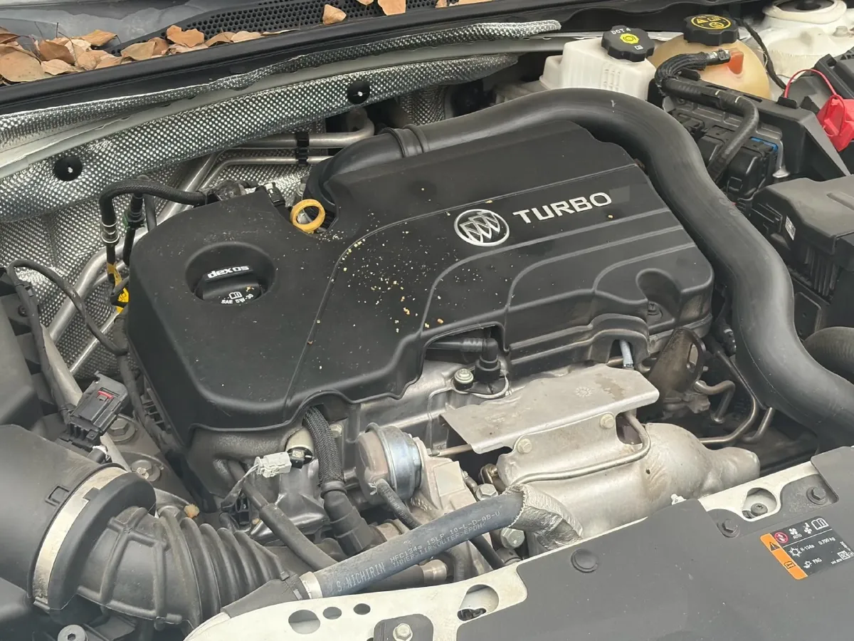 2020 Buick Regal 1.5T 169HP L4 9AT,autocango,china used car exporter,china ev exporter,chinese used car exporter,chinese used ev exporter