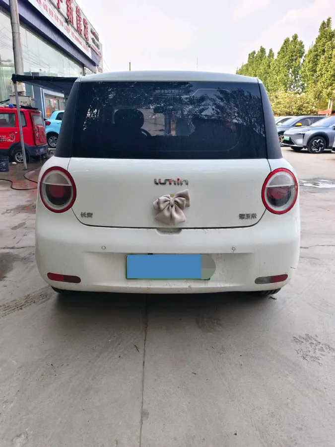 2023 ChangAn QiYuan Lumin BEV 17.65KWH,autocango,china used car exporter,china ev exporter,chinese used car exporter,chinese used ev exporter