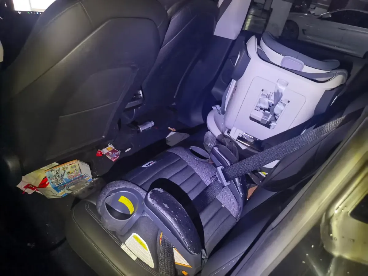 2021 Tesla Model 3 BEV 76.8KWH,autocango,china used car exporter,china ev exporter,chinese used car exporter,chinese used ev exporter