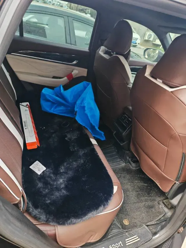 2024 Geely Monjaro 2.0T 238HP L4 8AT,autocango,china used car exporter,china ev exporter,chinese used car exporter,chinese used ev exporter