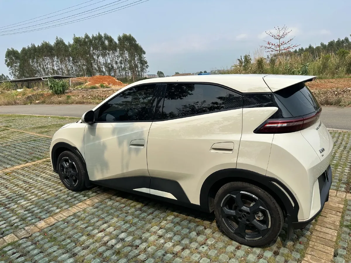 2023 BYD Seagull BEV 38.88KWH,autocango,china used car exporter,china ev exporter,chinese used car exporter,chinese used ev exporter