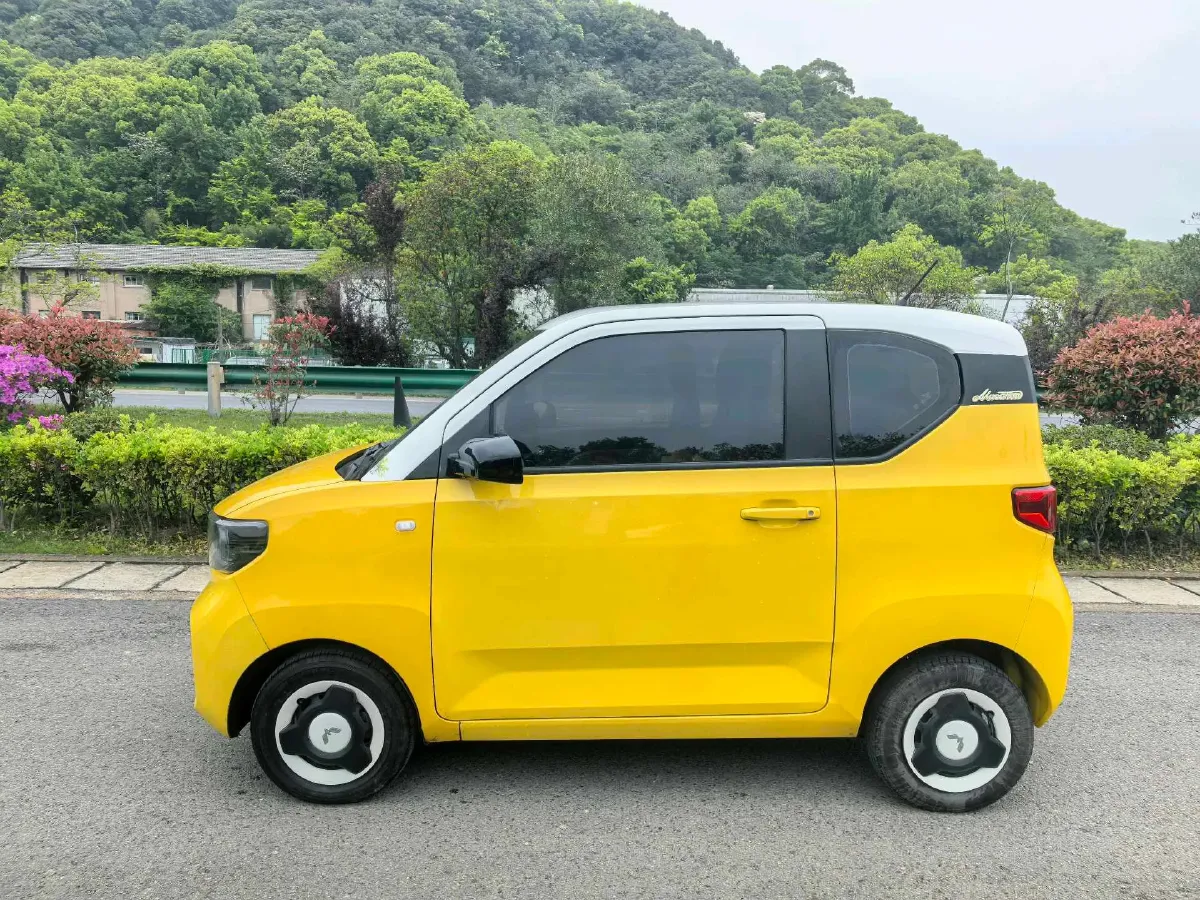 2021 WuLing HongGuang MINI EV BEV 13.9KWH,autocango,china used car exporter,china ev exporter,chinese used car exporter,chinese used ev exporter