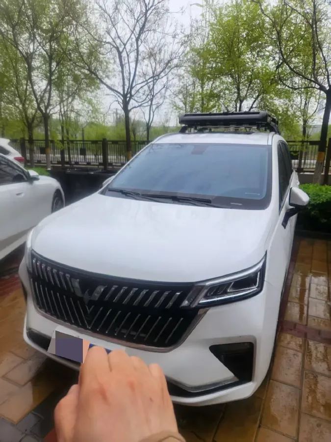2023 WuLing JiaChen 2.0L 136HP L4 1DHT Hybrid,autocango,china used car exporter,china ev exporter,chinese used car exporter,chinese used ev exporter
