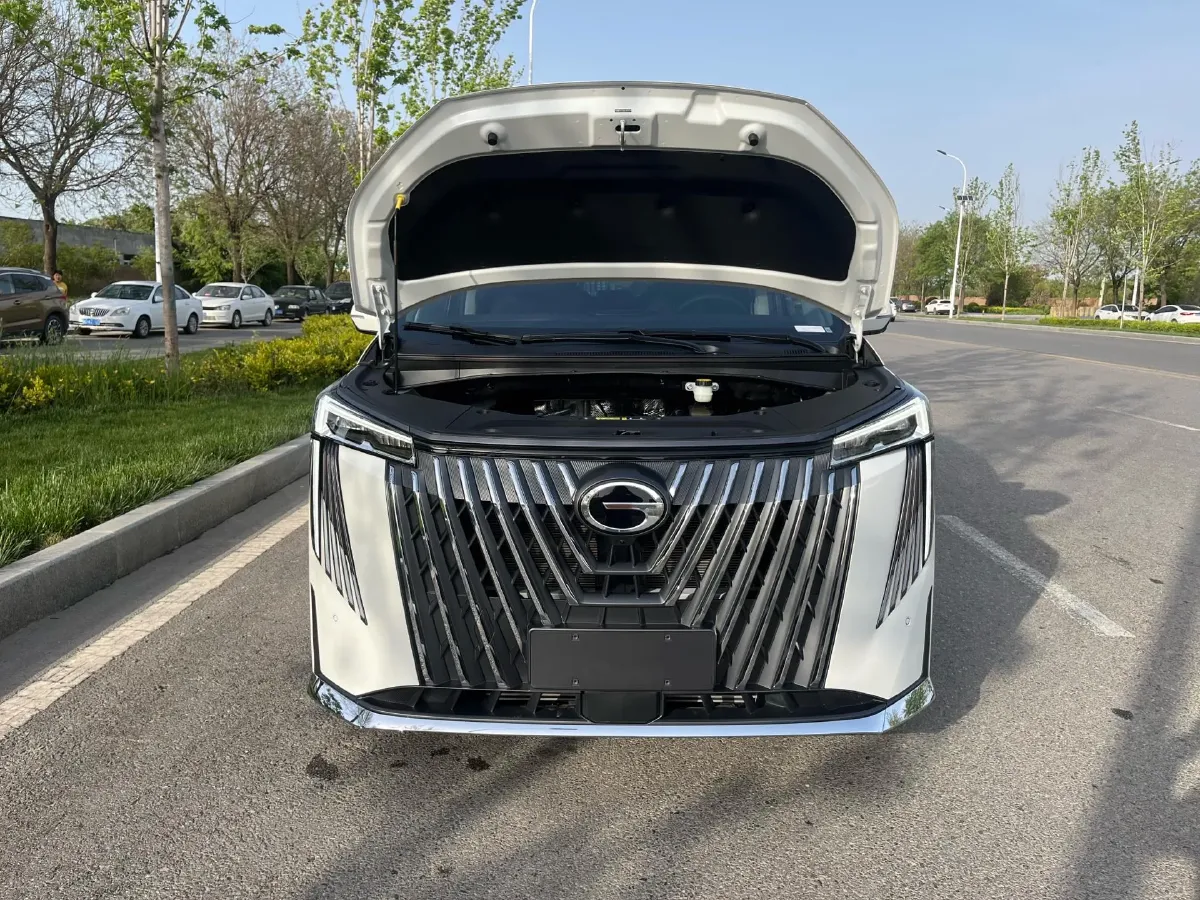 2024 GAC Trumpchi M8 2.0T 252HP L4 8AT,autocango,china used car exporter,china ev exporter,chinese used car exporter,chinese used ev exporter