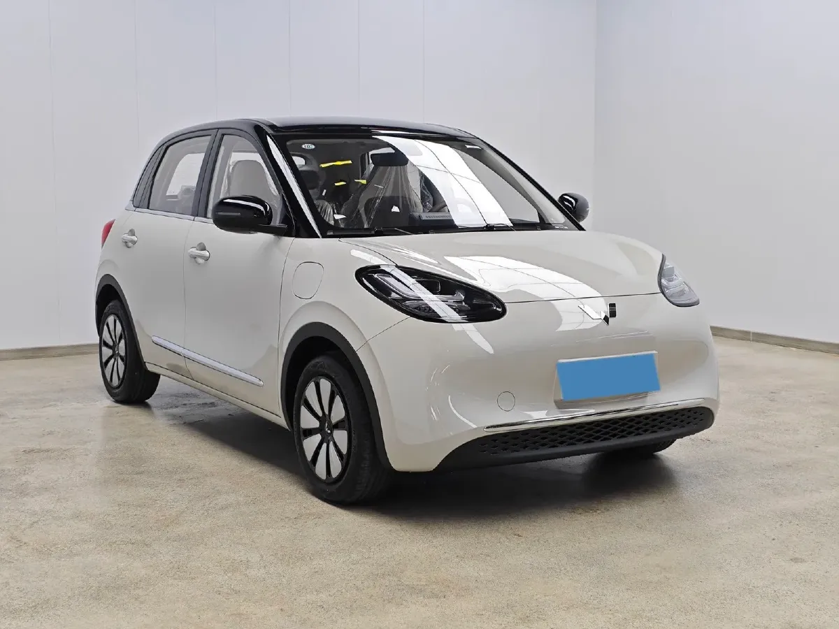 2025 WuLing BinGuo BEV,autocango,china used car exporter,china ev exporter,chinese used car exporter,chinese used ev exporter