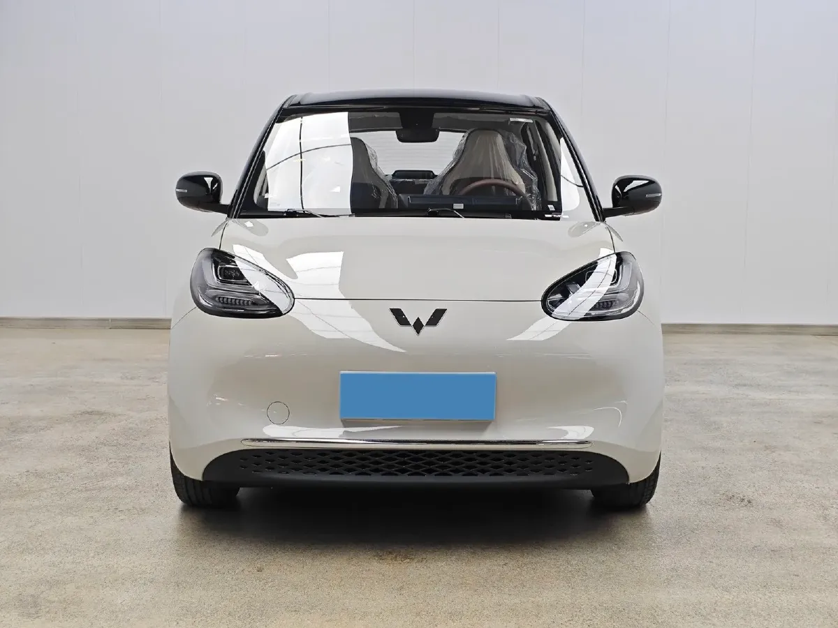 2025 WuLing BinGuo BEV,autocango,china used car exporter,china ev exporter,chinese used car exporter,chinese used ev exporter