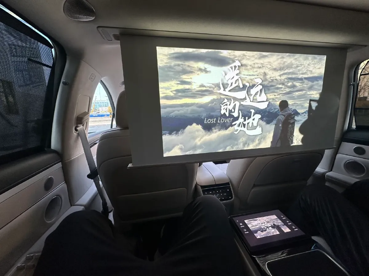 2025 HIMA Stelato S9 REEV 160HP REEV,autocango,china used car exporter,china ev exporter,chinese used car exporter,chinese used ev exporter