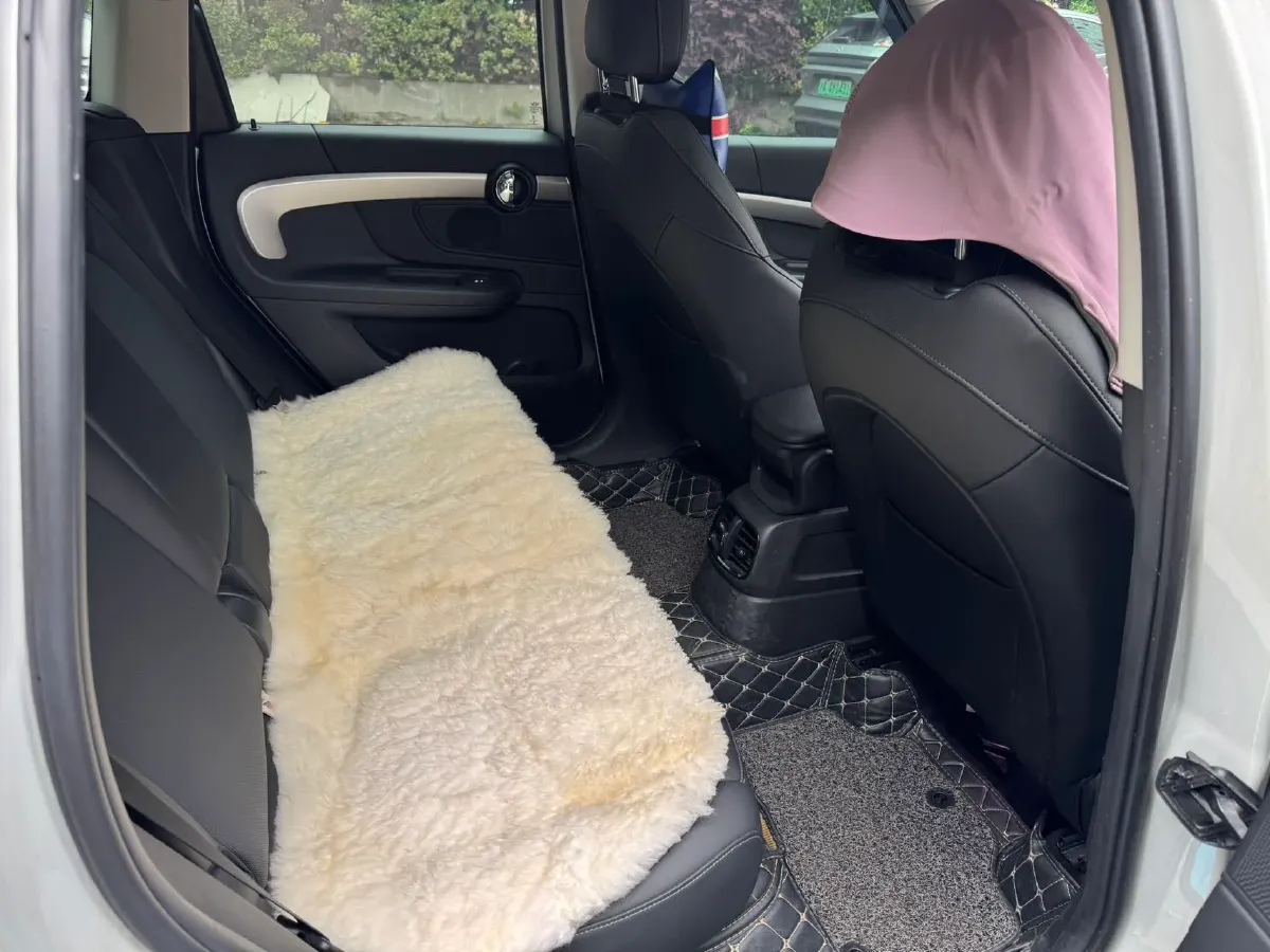 2021 MINI COUNTRYMAN 1.5T 136HP L3 7DCT,autocango,china used car exporter,china ev exporter,chinese used car exporter,chinese used ev exporter