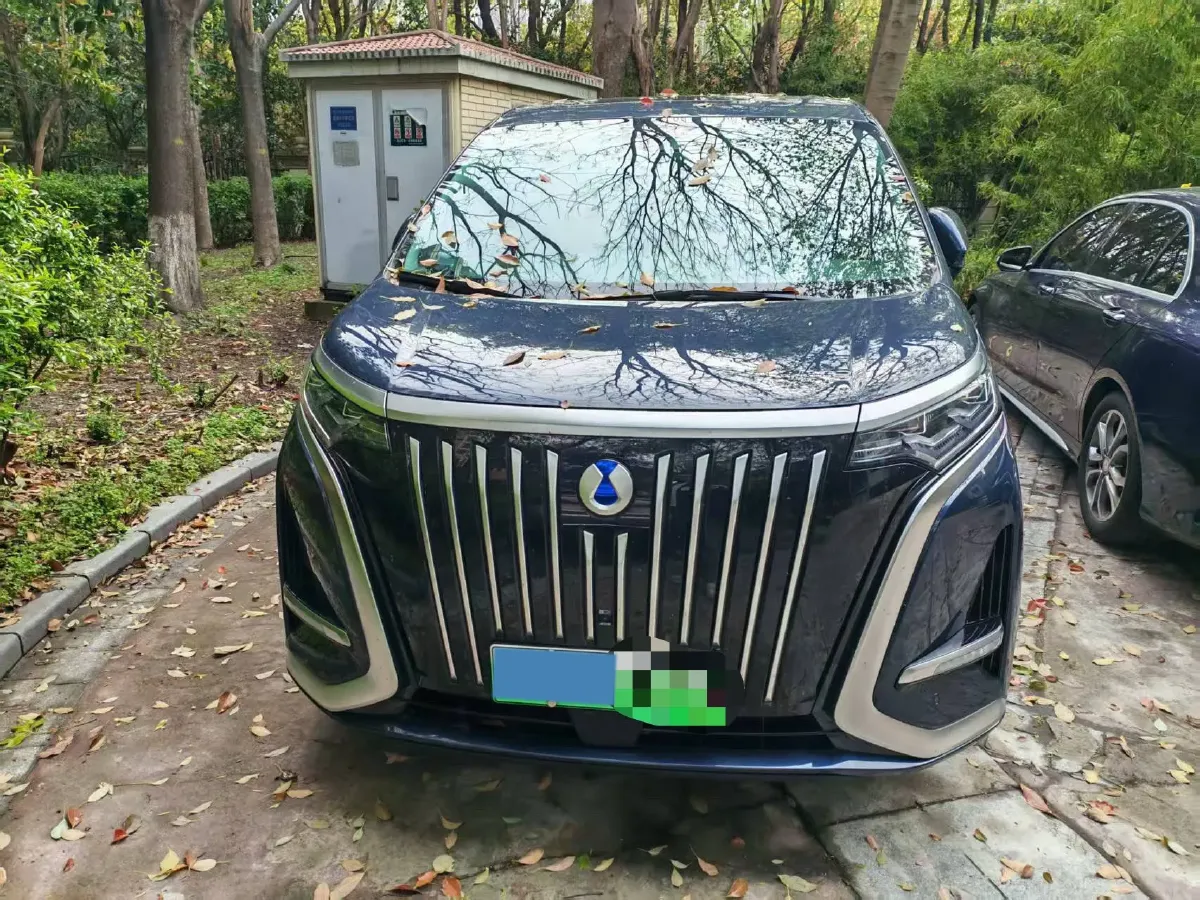 2024 Denza D9 BEV 103.36KWH,autocango,china used car exporter,china ev exporter,chinese used car exporter,chinese used ev exporter