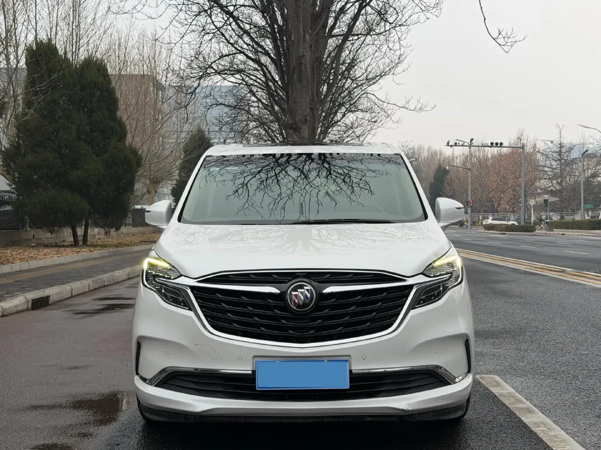 2020 Buick GL8 2.0T 237HP L4 9AT,autocango,china used car exporter,china ev exporter,chinese used car exporter,chinese used ev exporter