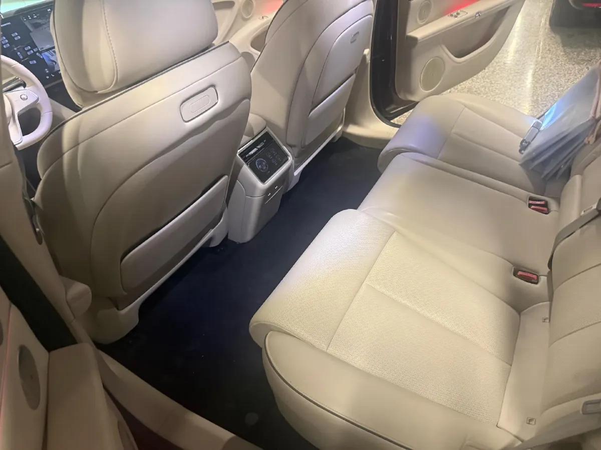 2025 HIMA Stelato S9T REEV 160HP REEV,autocango,china used car exporter,china ev exporter,chinese used car exporter,chinese used ev exporter