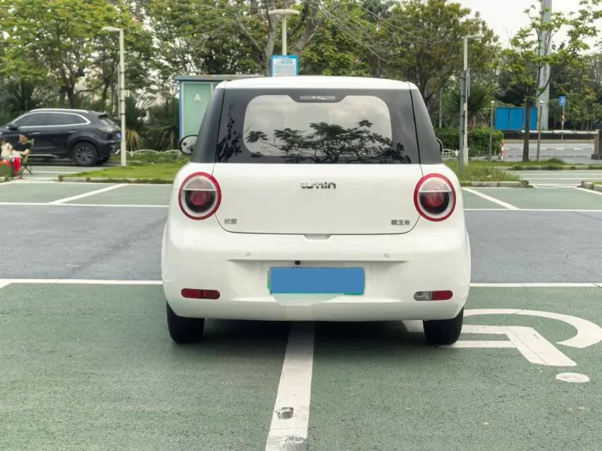 2023 ChangAn QiYuan Lumin BEV 17.65KWH,autocango,china used car exporter,china ev exporter,chinese used car exporter,chinese used ev exporter