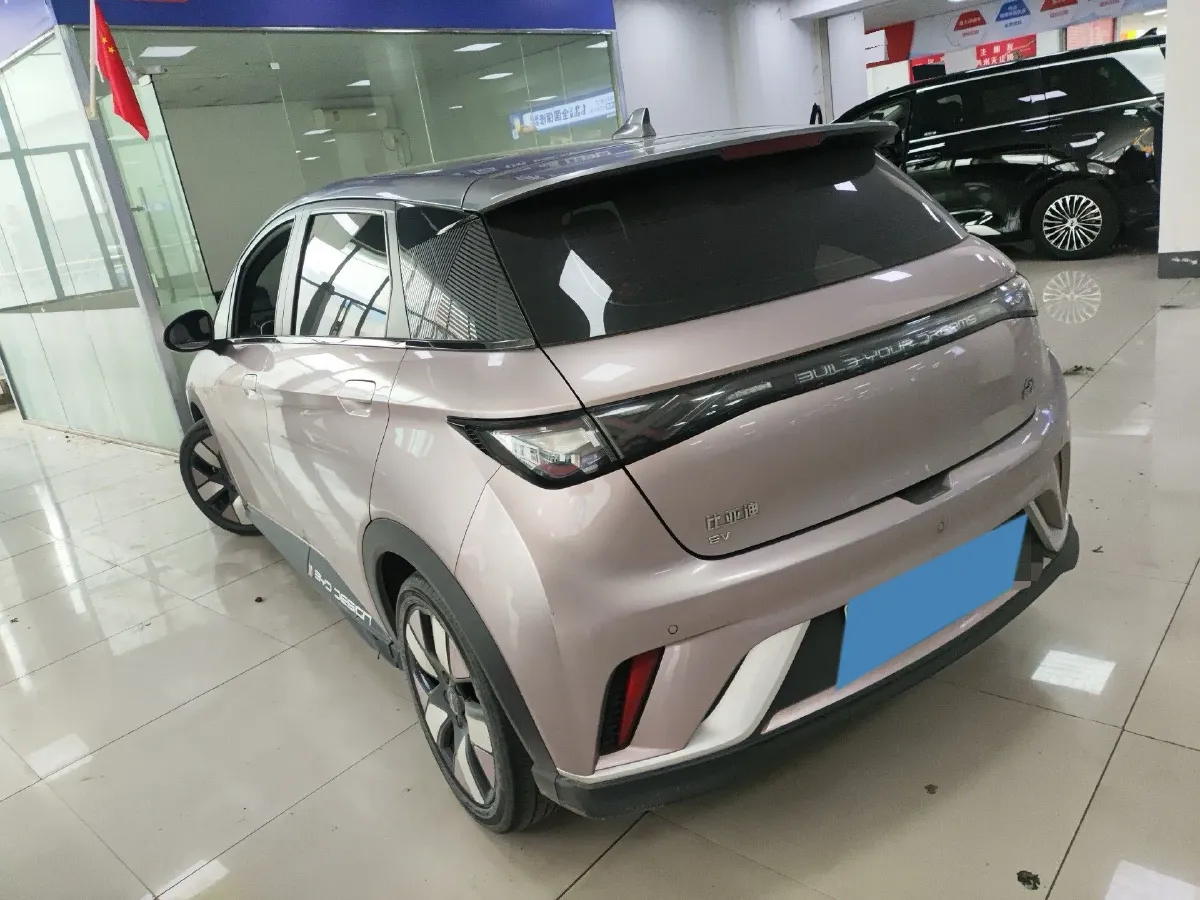 2021 BYD e2 BEV 43.2KWH,autocango,china used car exporter,china ev exporter,chinese used car exporter,chinese used ev exporter
