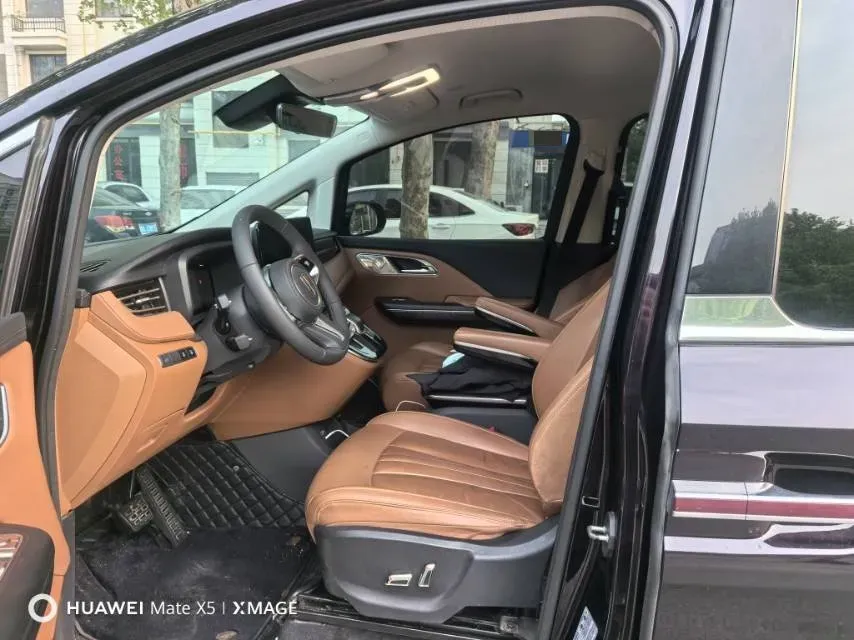 2023 HongQi HQ9 2.0T 252HP L4 8AT,autocango,china used car exporter,china ev exporter,chinese used car exporter,chinese used ev exporter