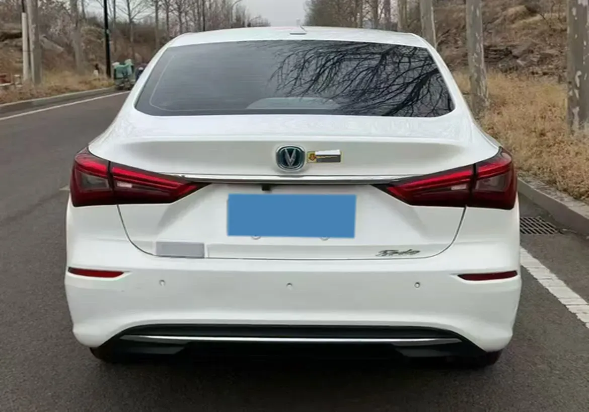 2020 Dongfeng RuiQi 6 BEV 67.09KWH,autocango,china used car exporter,china ev exporter,chinese used car exporter,chinese used ev exporter