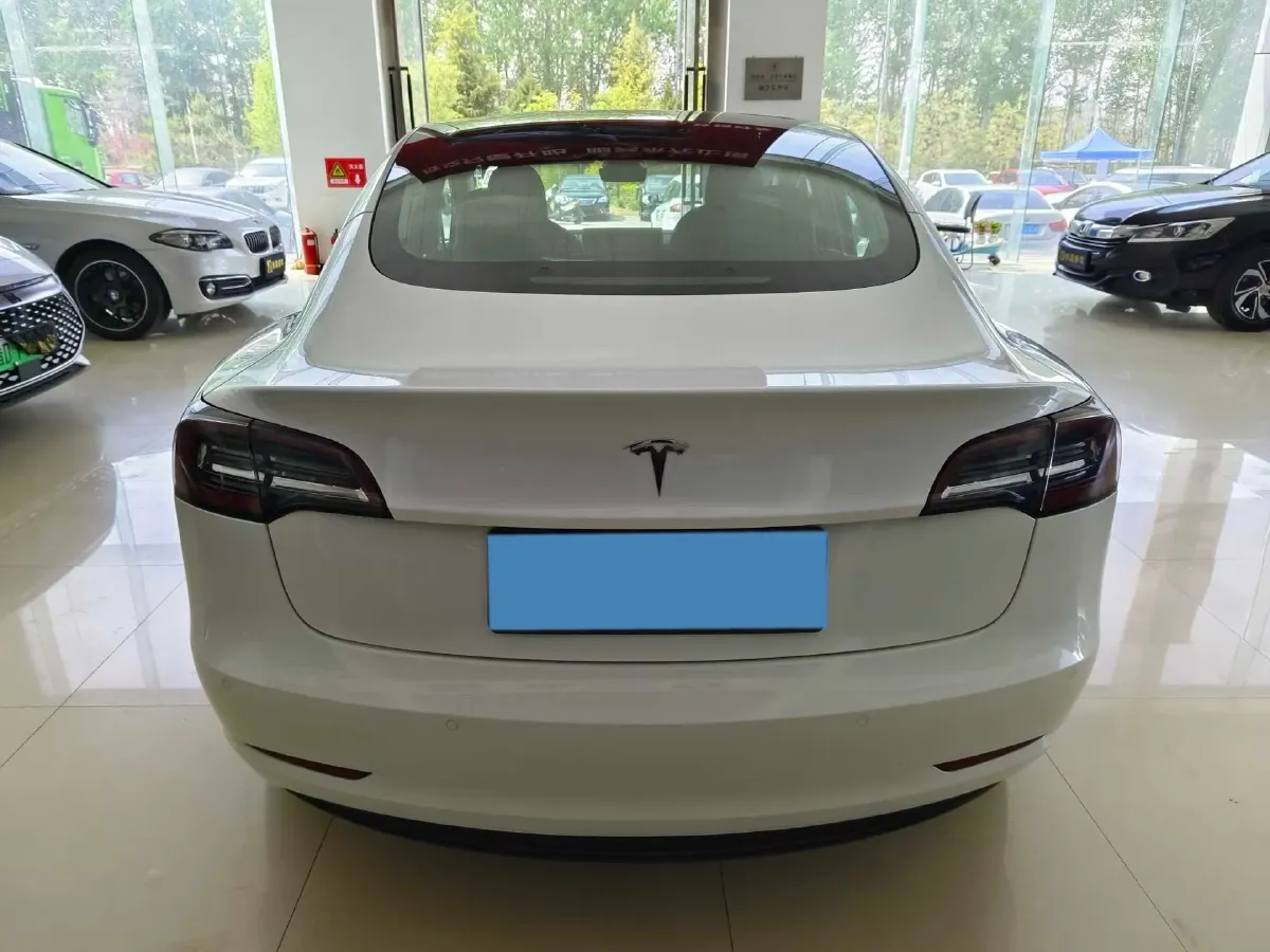 2020 Tesla Model 3 BEV 52KWH,autocango,china used car exporter,china ev exporter,chinese used car exporter,chinese used ev exporter