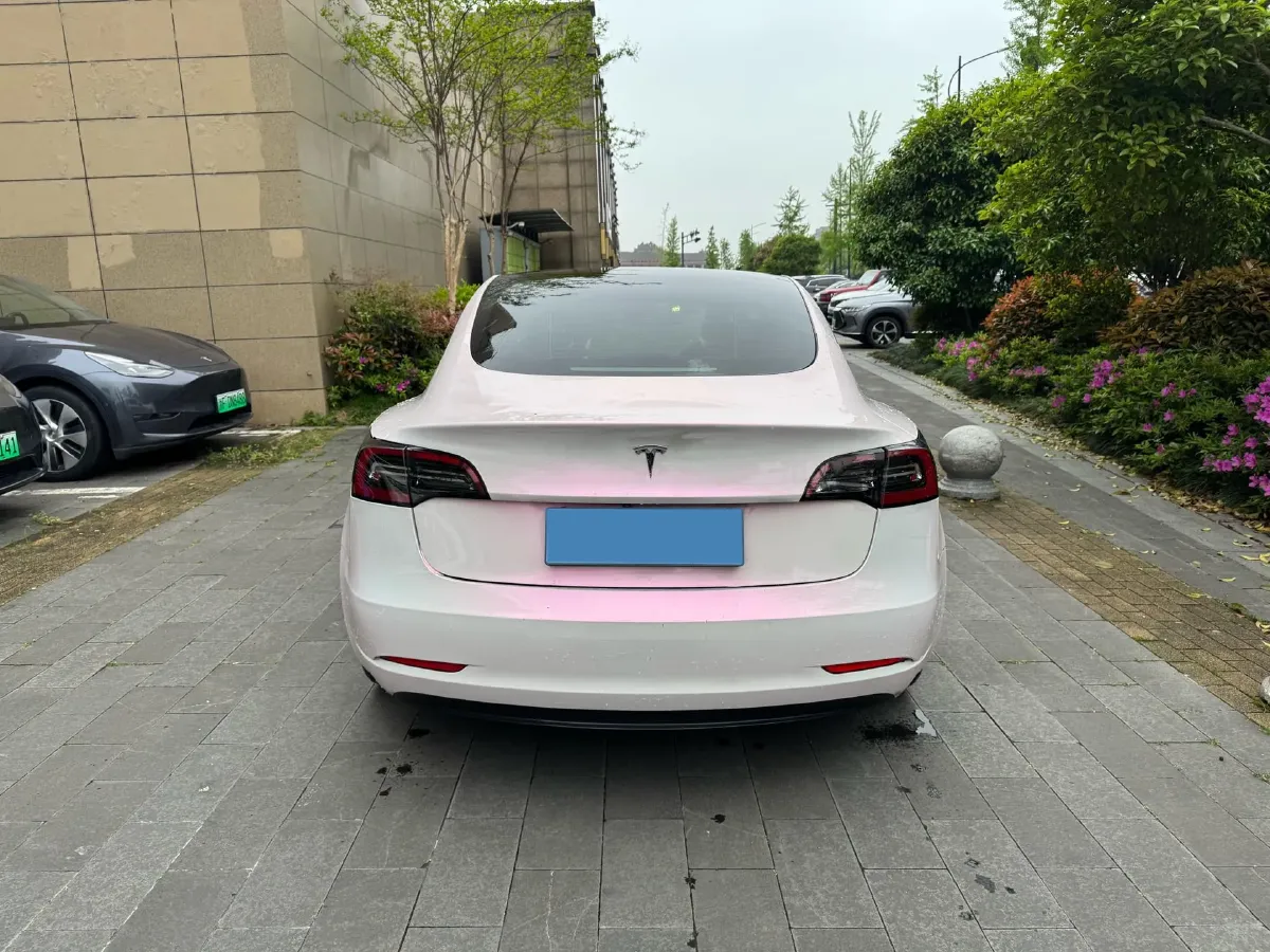2021 Tesla Model 3 BEV 55KWH,autocango,china used car exporter,china ev exporter,chinese used car exporter,chinese used ev exporter