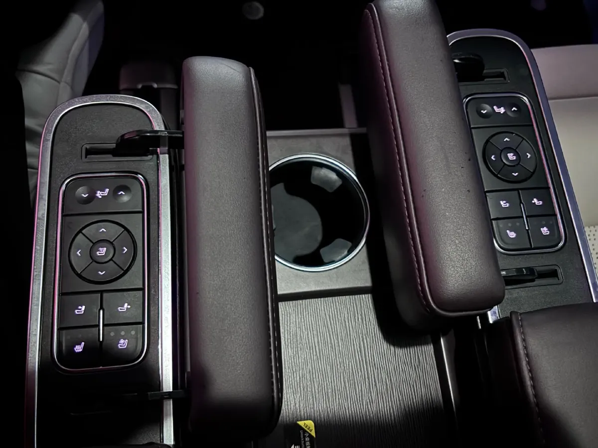 2021 GAC Trumpchi M8 2.0T 252HP L4 8AT,autocango,china used car exporter,china ev exporter,chinese used car exporter,chinese used ev exporter