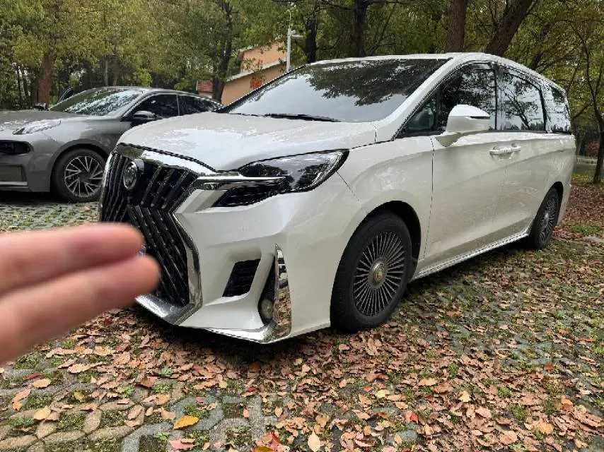 2021 Buick GL8 2.0T 237HP L4 9AT,autocango,china used car exporter,china ev exporter,chinese used car exporter,chinese used ev exporter