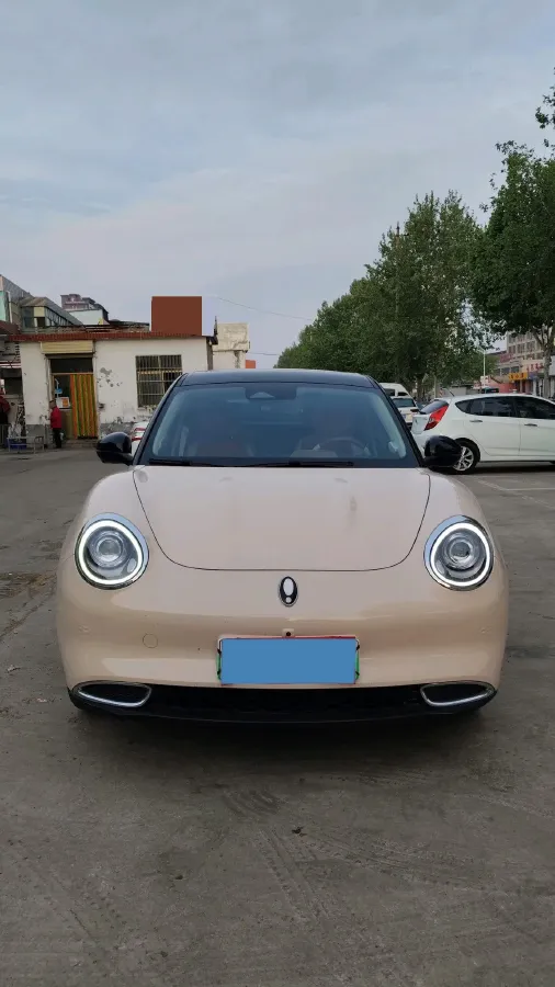 2023 Ora FunkyCat BEV 45.99KWH,autocango,china used car exporter,china ev exporter,chinese used car exporter,chinese used ev exporter