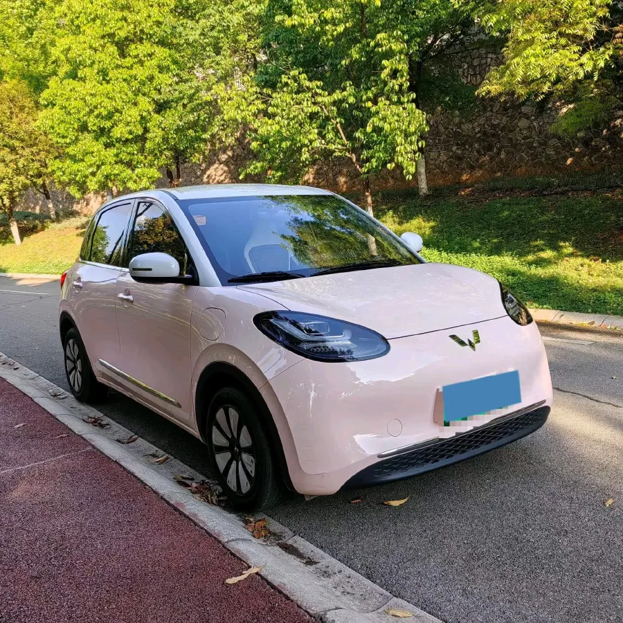 2023 WuLing BinGuo BEV 31.9KWH,autocango,china used car exporter,china ev exporter,chinese used car exporter,chinese used ev exporter