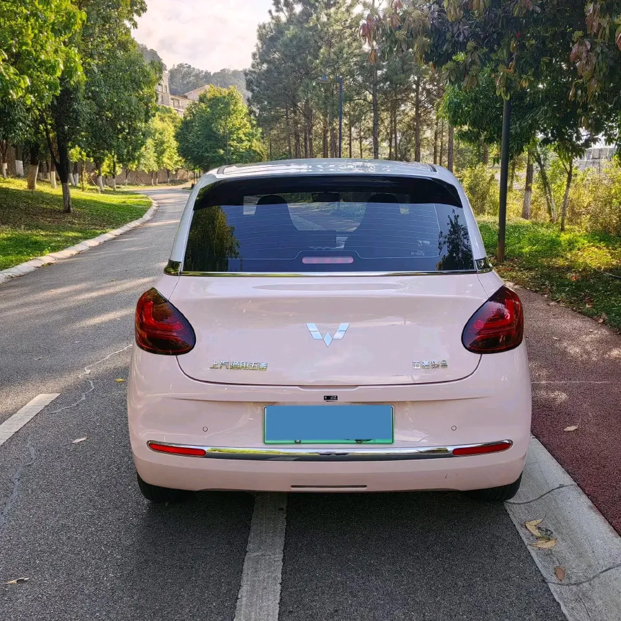 2023 WuLing BinGuo BEV 31.9KWH,autocango,china used car exporter,china ev exporter,chinese used car exporter,chinese used ev exporter