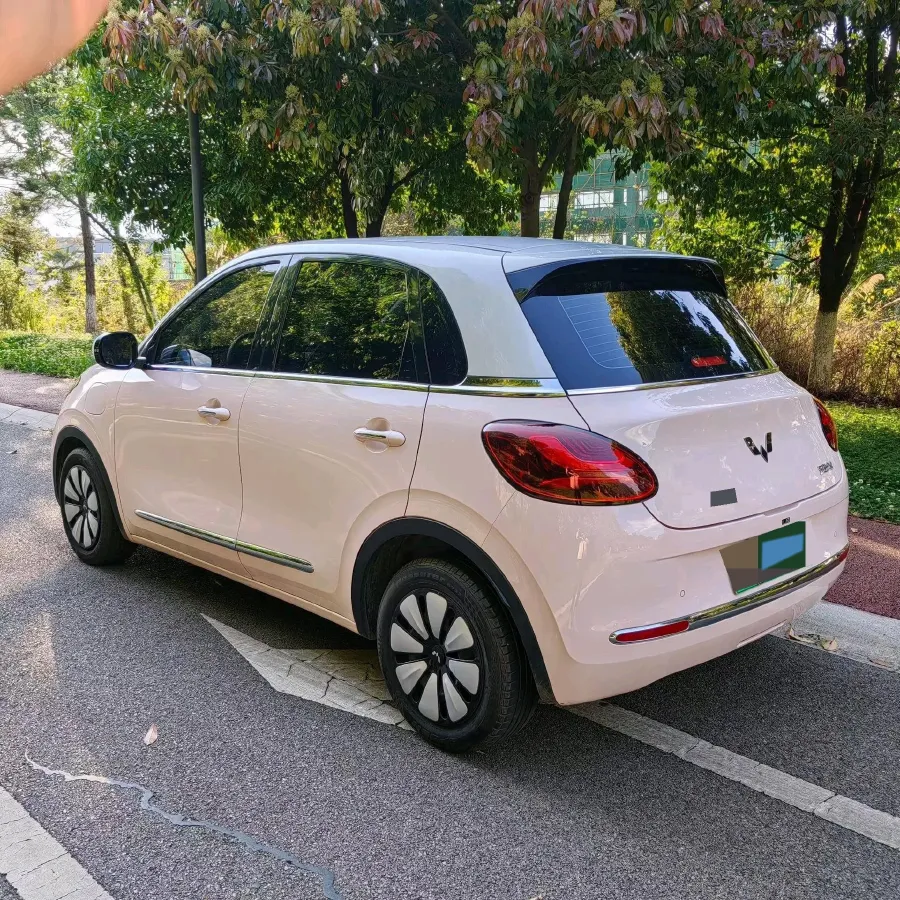 2023 WuLing BinGuo BEV 31.9KWH,autocango,china used car exporter,china ev exporter,chinese used car exporter,chinese used ev exporter