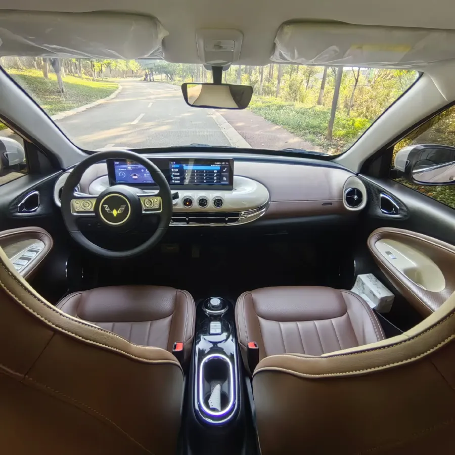 2023 WuLing BinGuo BEV 31.9KWH,autocango,china used car exporter,china ev exporter,chinese used car exporter,chinese used ev exporter