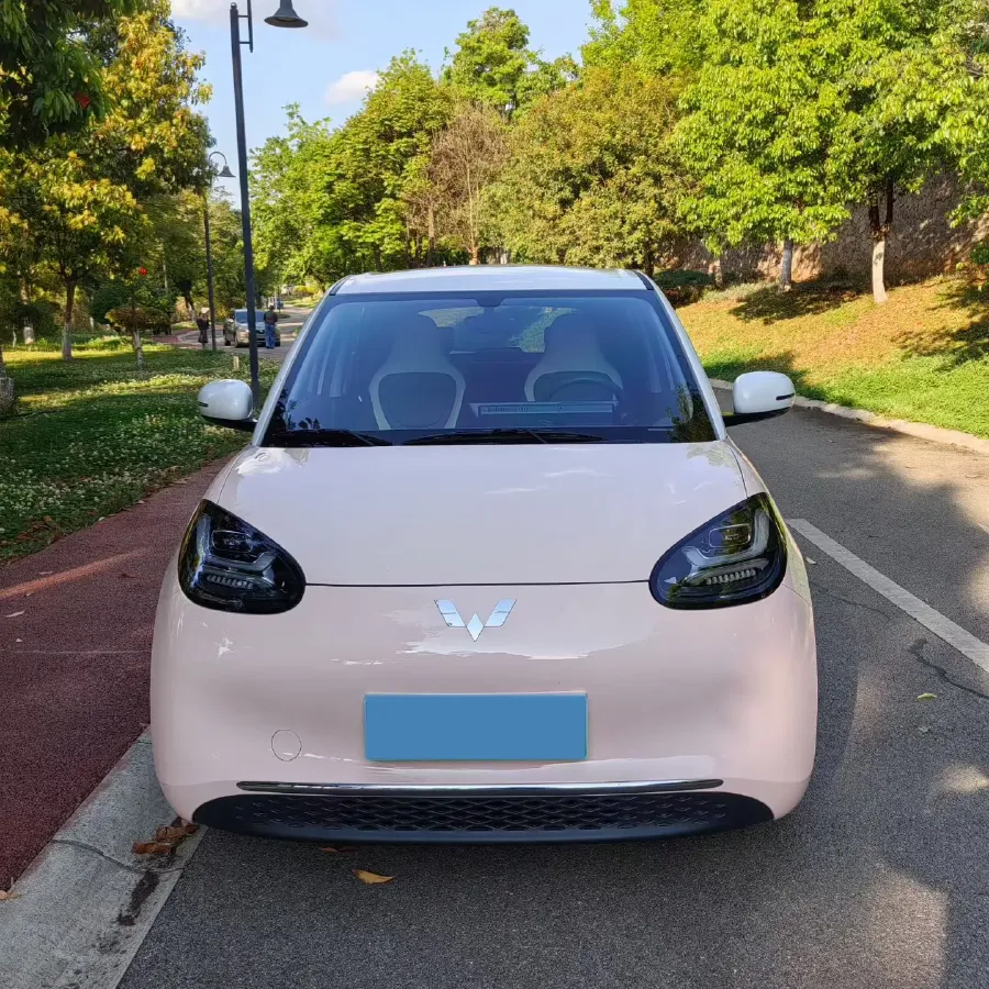 2023 WuLing BinGuo BEV 31.9KWH,autocango,china used car exporter,china ev exporter,chinese used car exporter,chinese used ev exporter