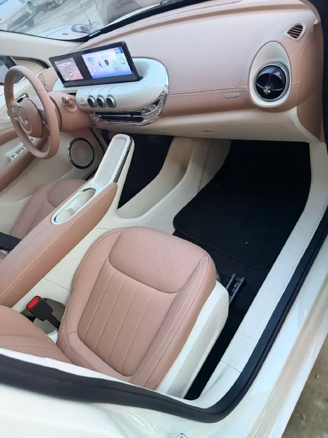 2024 WuLing BinGuo BEV 31.9KWH,autocango,china used car exporter,china ev exporter,chinese used car exporter,chinese used ev exporter