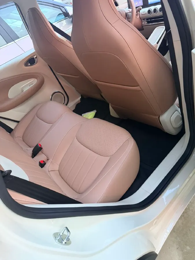 2024 WuLing BinGuo BEV 31.9KWH,autocango,china used car exporter,china ev exporter,chinese used car exporter,chinese used ev exporter