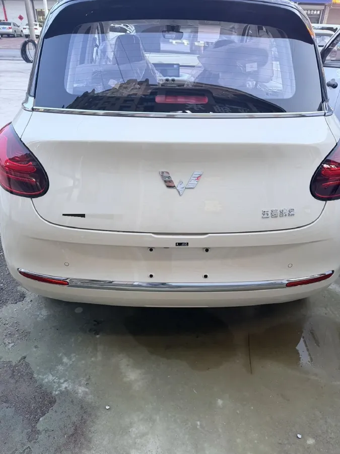2024 WuLing BinGuo BEV 31.9KWH,autocango,china used car exporter,china ev exporter,chinese used car exporter,chinese used ev exporter