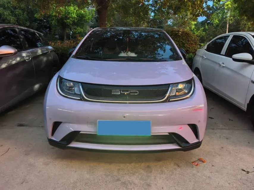 2023 BYD Dolphin BEV 44.928KWH,autocango,china used car exporter,china ev exporter,chinese used car exporter,chinese used ev exporter
