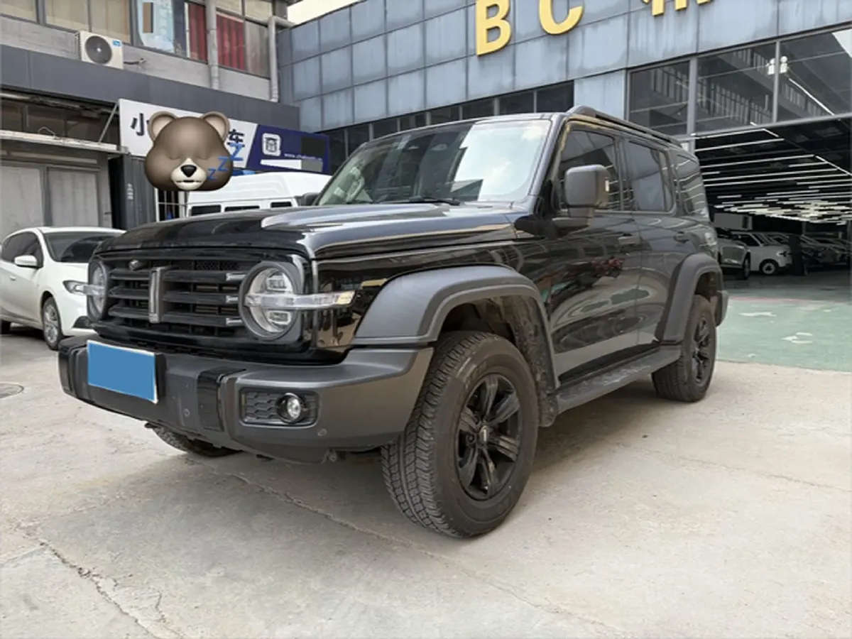 2021 Tank 300 2.0T 227HP L4 8AT,autocango,china used car exporter,china ev exporter,chinese used car exporter,chinese used ev exporter