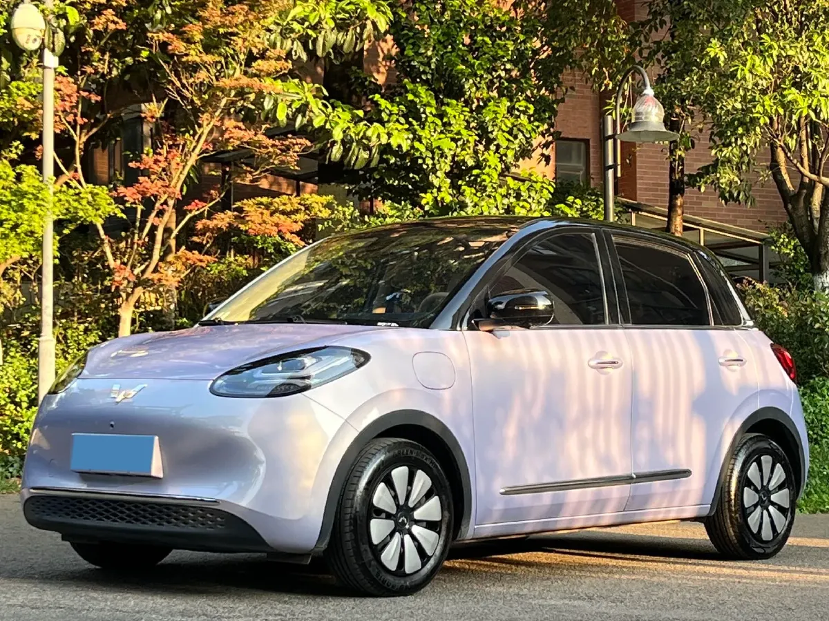 2025 WuLing BinGuo BEV,autocango,china used car exporter,china ev exporter,chinese used car exporter,chinese used ev exporter