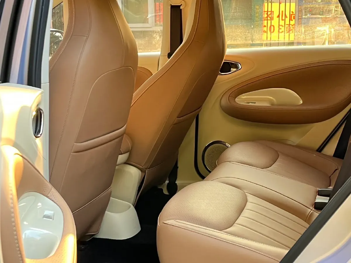 2025 WuLing BinGuo BEV,autocango,china used car exporter,china ev exporter,chinese used car exporter,chinese used ev exporter