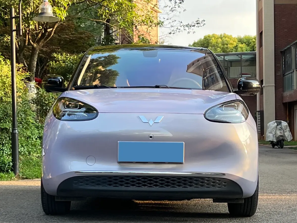 2025 WuLing BinGuo BEV,autocango,china used car exporter,china ev exporter,chinese used car exporter,chinese used ev exporter