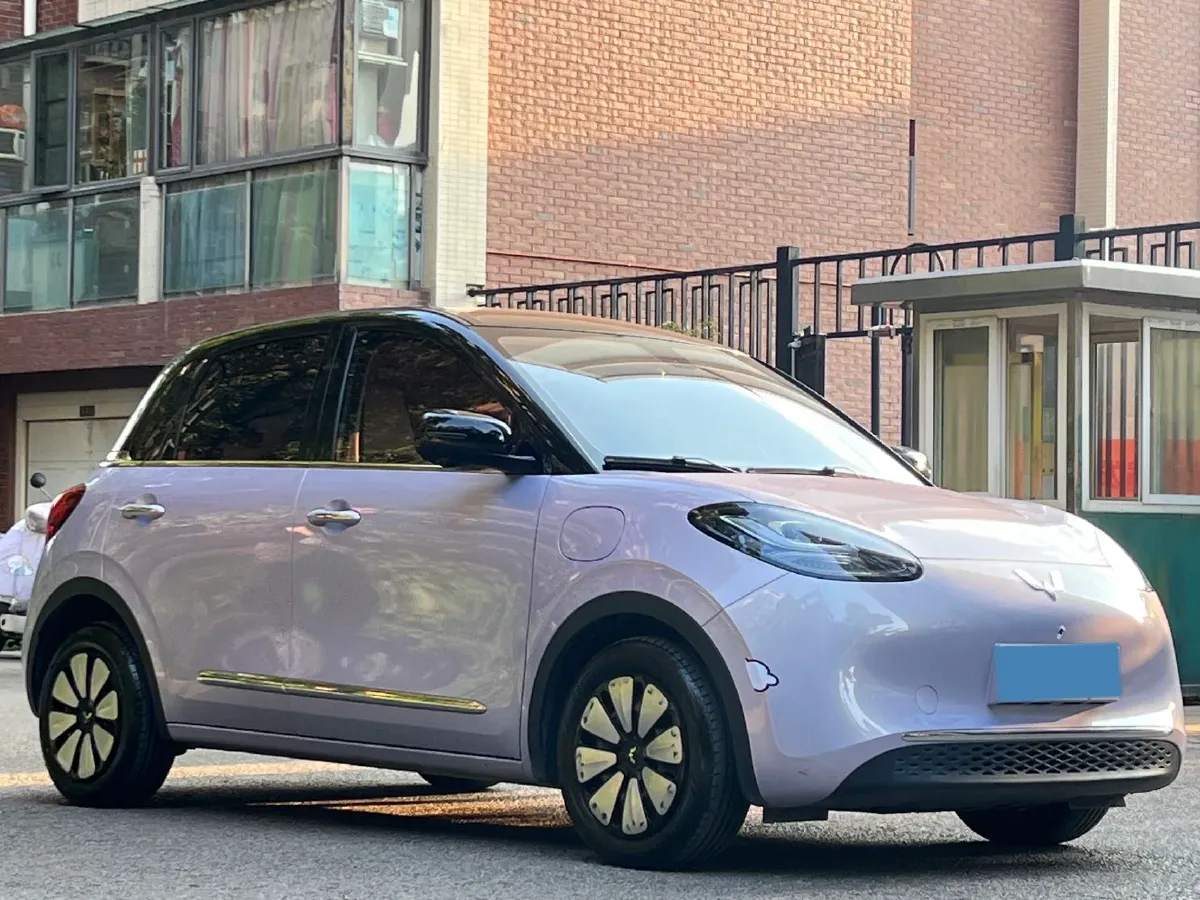 2025 WuLing BinGuo BEV,autocango,china used car exporter,china ev exporter,chinese used car exporter,chinese used ev exporter