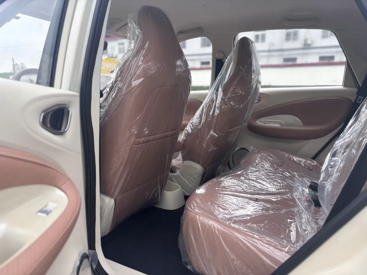 2024 WuLing BinGuo BEV 31.9KWH,autocango,china used car exporter,china ev exporter,chinese used car exporter,chinese used ev exporter