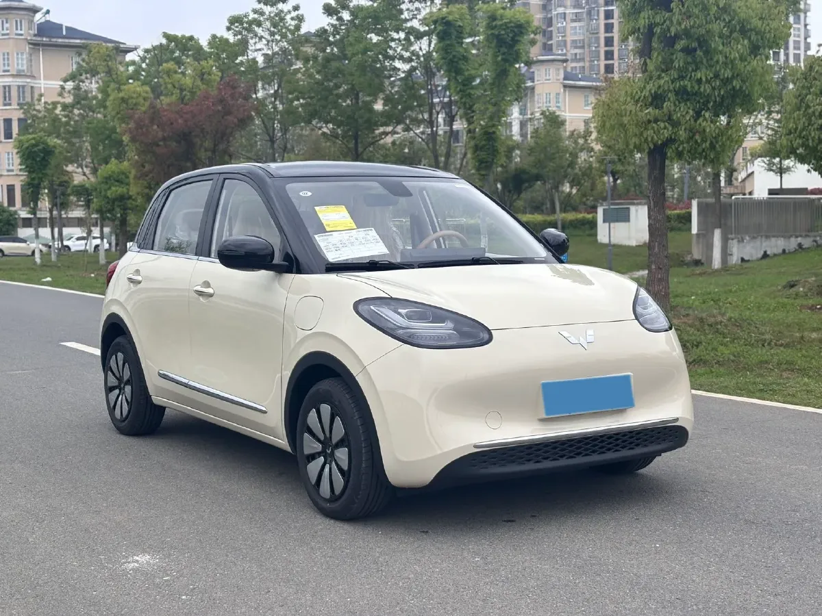2024 WuLing BinGuo BEV 31.9KWH,autocango,china used car exporter,china ev exporter,chinese used car exporter,chinese used ev exporter