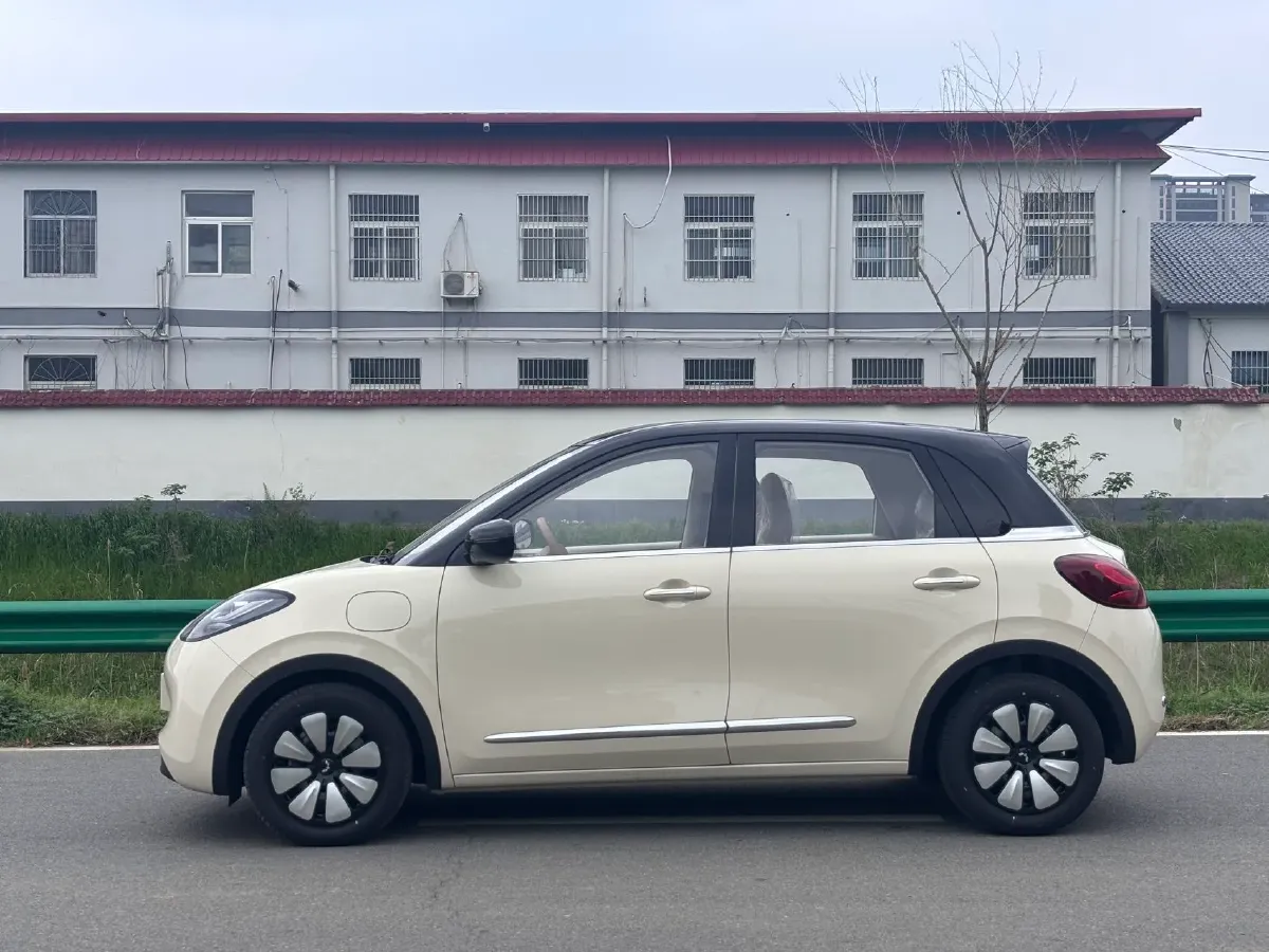 2024 WuLing BinGuo BEV 31.9KWH,autocango,china used car exporter,china ev exporter,chinese used car exporter,chinese used ev exporter