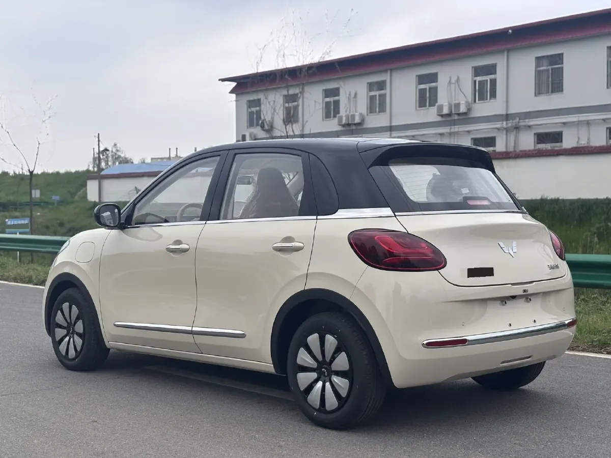 2024 WuLing BinGuo BEV 31.9KWH,autocango,china used car exporter,china ev exporter,chinese used car exporter,chinese used ev exporter