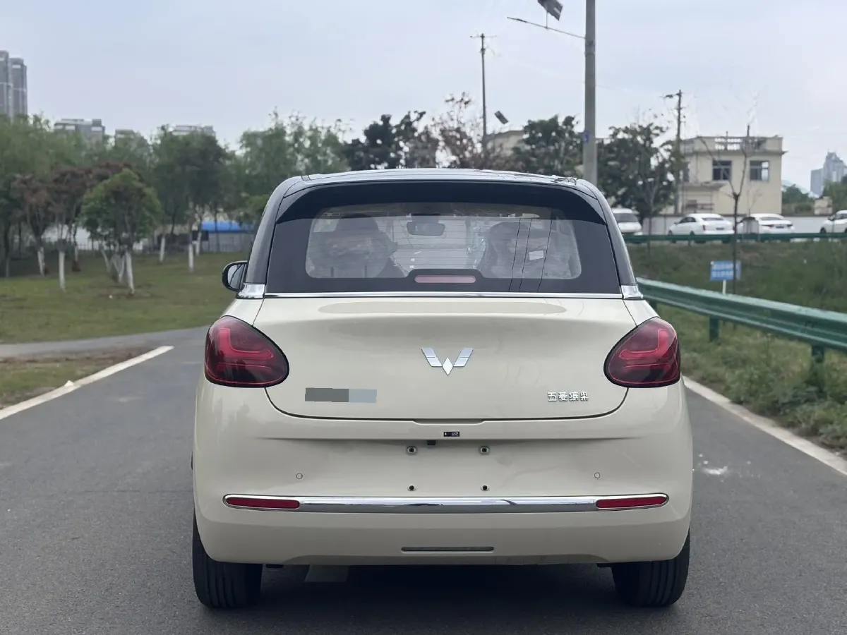 2024 WuLing BinGuo BEV 31.9KWH,autocango,china used car exporter,china ev exporter,chinese used car exporter,chinese used ev exporter