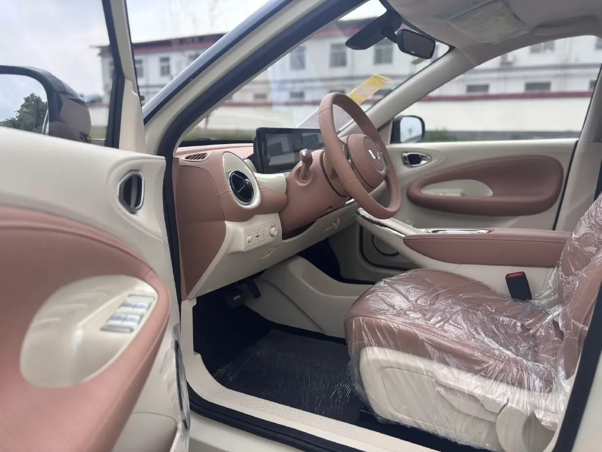 2024 WuLing BinGuo BEV 31.9KWH,autocango,china used car exporter,china ev exporter,chinese used car exporter,chinese used ev exporter