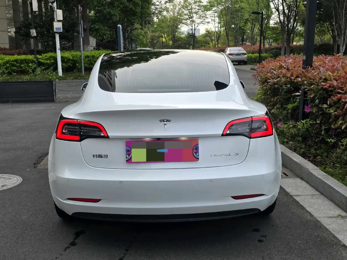 2020 Tesla Model 3 BEV 52KWH,autocango,china used car exporter,china ev exporter,chinese used car exporter,chinese used ev exporter