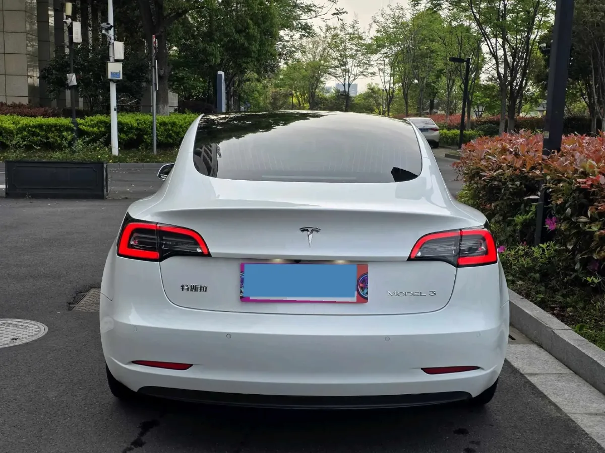 2020 Tesla Model 3 BEV 52KWH,autocango,china used car exporter,china ev exporter,chinese used car exporter,chinese used ev exporter